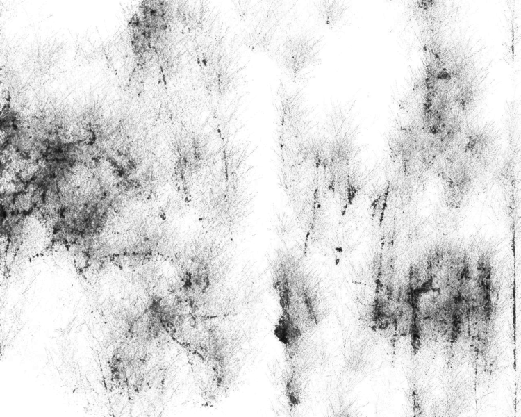 Слайд 4 Слайд 4